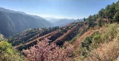  Residential Plot for Sale in Sanjauli, Shimla