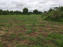  Agricultural Land for Sale in Mahabubabad, Warangal