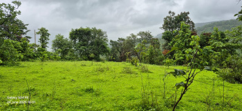 Agricultural Land for Sale in Sudhagad, Raigad