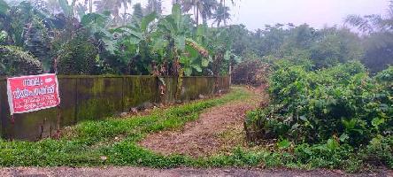  Agricultural Land for Sale in Irinjalakuda, Thrissur