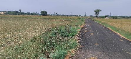  Agricultural Land for Sale in Tiruvallur, Chennai