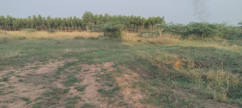  Agricultural Land for Sale in Poondi, Thiruvallur