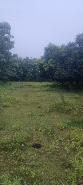  Agricultural Land 118 Cent for Sale in Sunguvarchatram, Kanchipuram