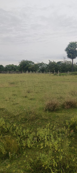  Industrial Land 95 Cent for Sale in Sunguvarchatram, Kanchipuram