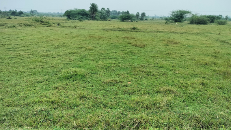  Industrial Land 114 Cent for Sale in Sunguvarchatram, Kanchipuram