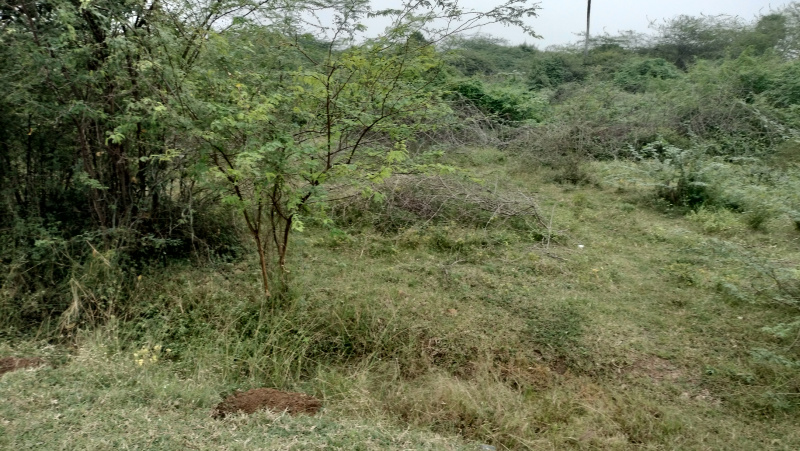  Industrial Land 204 Cent for Sale in Sunguvarchatram, Kanchipuram