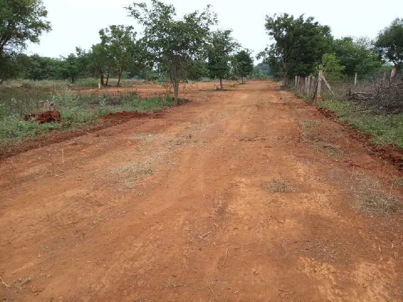  Residential Plot 436 Sq.ft. for Sale in Tallakulam, Madurai