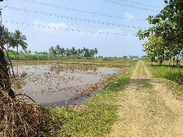  Agricultural Land for Sale in Anakavur, Tiruvannamalai