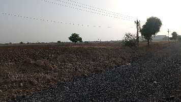  Agricultural Land for Sale in Mandal, Ahmedabad