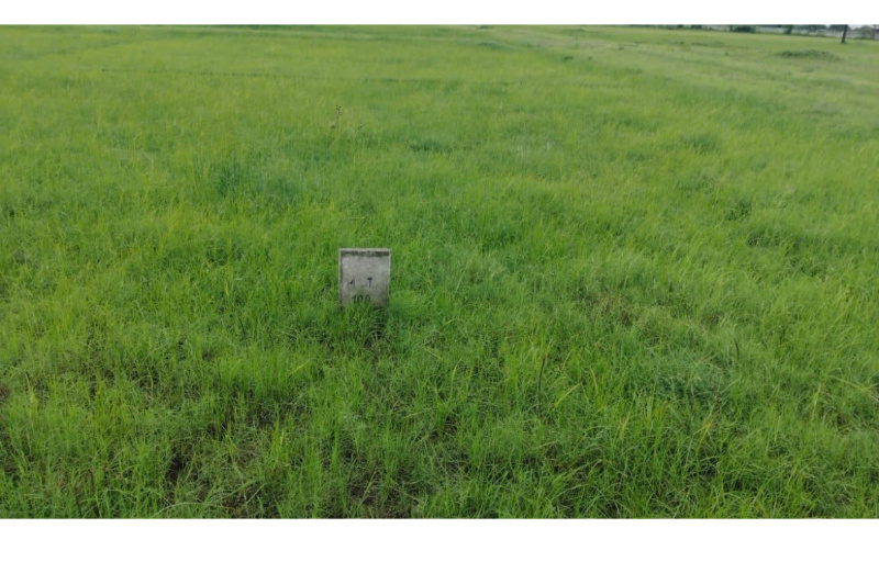  Agricultural Land 13 Bigha for Sale in Tarapur, Anand