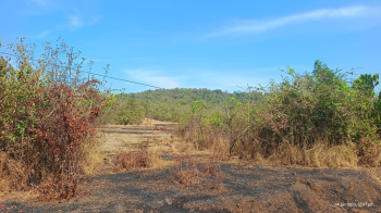  Residential Plot for Sale in Sawantwadi, Sindhudurg