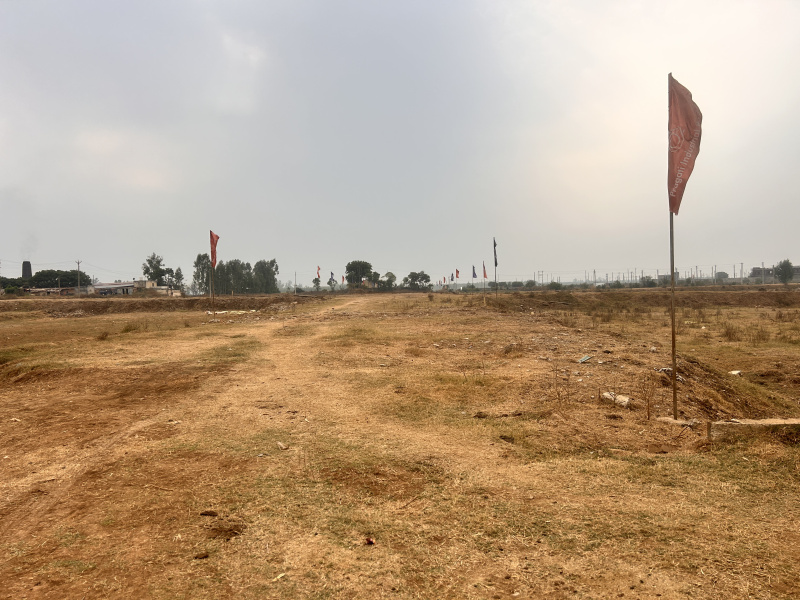 Panjokhara, Ambala photo 5