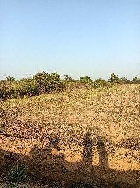  Agricultural Land for Sale in Savner, Nagpur