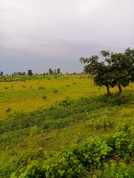  Agricultural Land for Sale in Katol, Nagpur