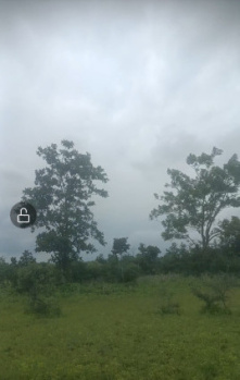  Agricultural Land for Sale in Katol, Nagpur