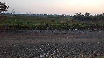  Agricultural Land for Sale in New Town, Kolkata