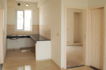 3 BHK Builder Floor for Sale in Sector 75 Faridabad