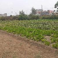  Agricultural Land for Rent in Ropar, Rupnagar