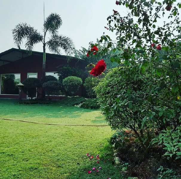 2 BHK Farm House 900 Sq. Yards for Sale in Sector 135 Noida