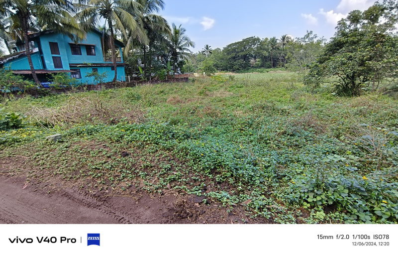  Residential Plot 535 Sq. Meter for Sale in Navelim, Margao, Goa