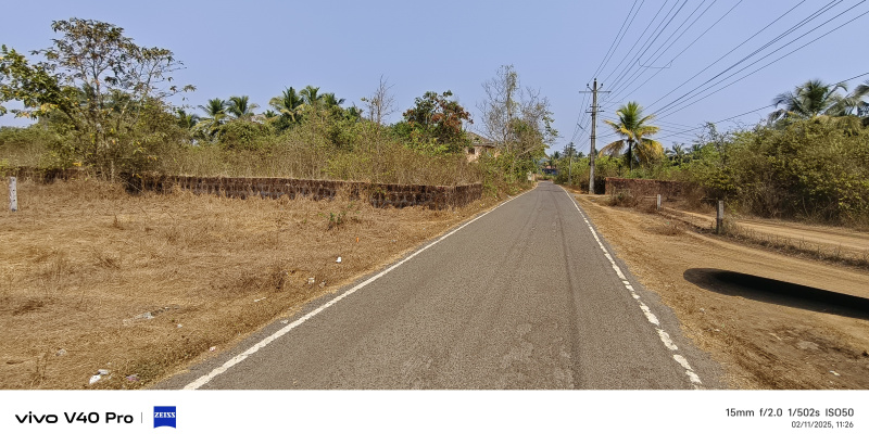  Commercial Land 1084 Sq. Meter for Sale in Chandor, Goa