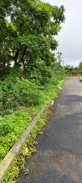  Commercial Land 1500 Sq. Meter for Sale in Verna, Goa