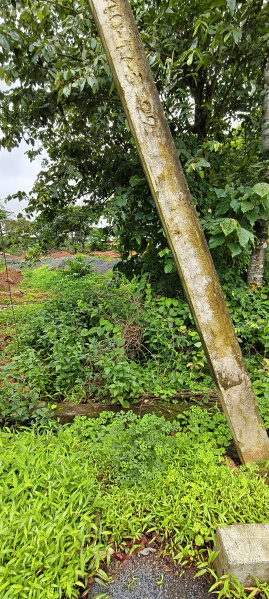  Commercial Land 1500 Sq. Meter for Sale in Verna, Goa