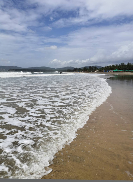  Guest House 6000 Sq. Meter for Sale in Agonda, South Goa