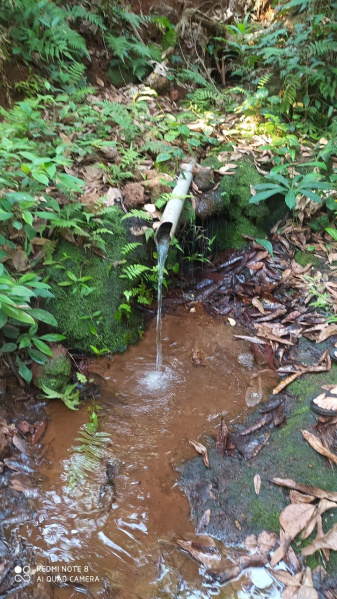  50252 Sq. Meter Agricultural/Farm Land for Sale in Quepem, South Goa, 