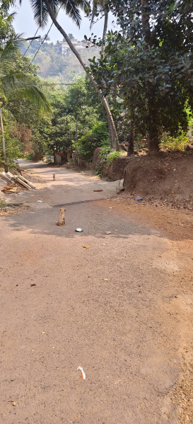  500 Sq. Meter Residential Plot for Sale in Margao, Goa