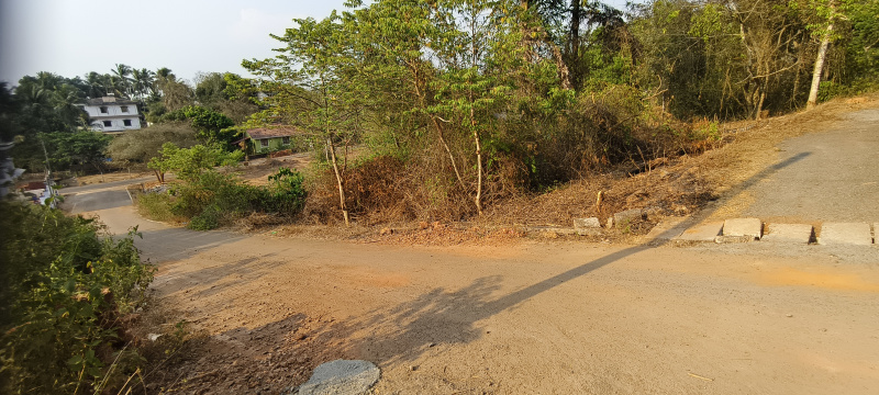  379 Sq. Meter Residential Plot for Sale in Raia, South Goa, 