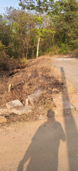  379 Sq. Meter Residential Plot for Sale in Raia, South Goa, 