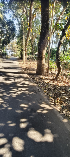  450 Sq. Meter Residential Plot for Sale in Canacona, Goa