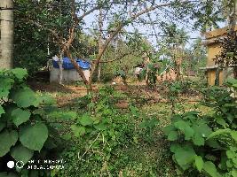  Residential Plot for Sale in Elanad, Thrissur