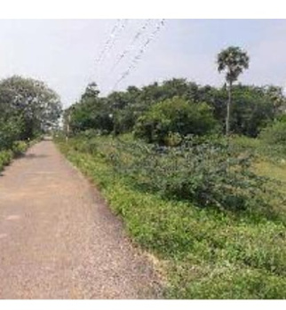  Agricultural Land for Sale in Samayapuram, Tiruchirappalli