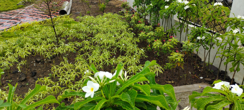  Residential Plot 1315 Sq.ft. for Sale in Dongargaon, Nagpur