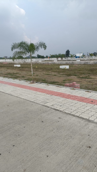  Residential Plot 1200 Sq.ft. for Sale in Mihan, Nagpur