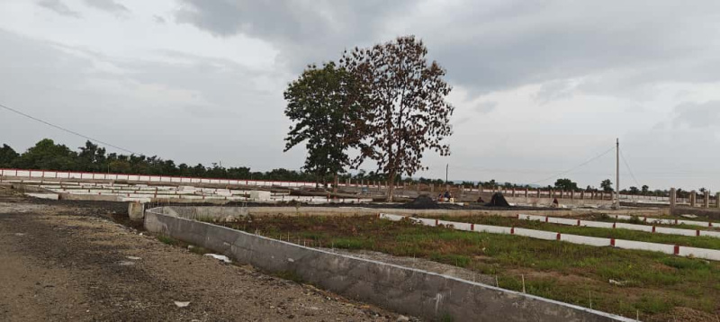  1440 Sq.ft. Residential Plot for Sale in Dongargaon, Nagpur