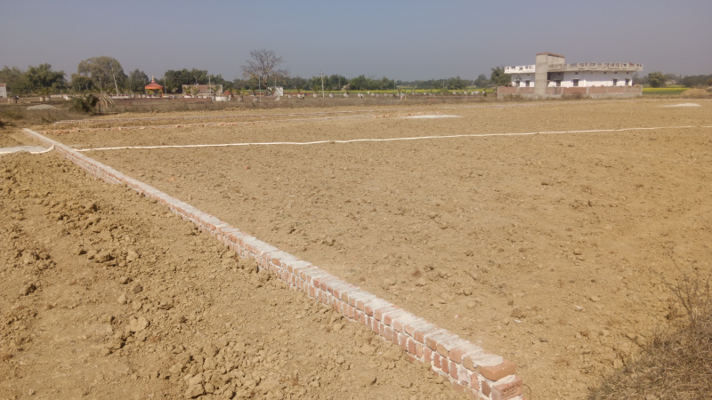  Residential Plot 1360 Sq.ft. for Sale in Myorpur, Sonebhadra