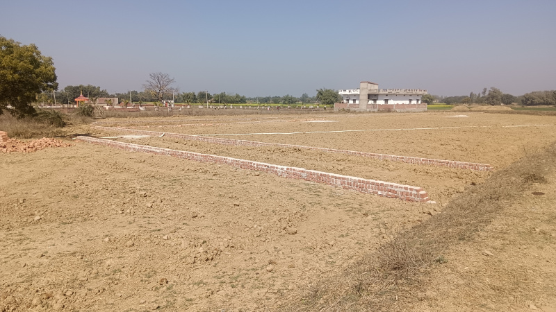  Residential Plot 1360 Sq.ft. for Sale in Myorpur, Sonebhadra