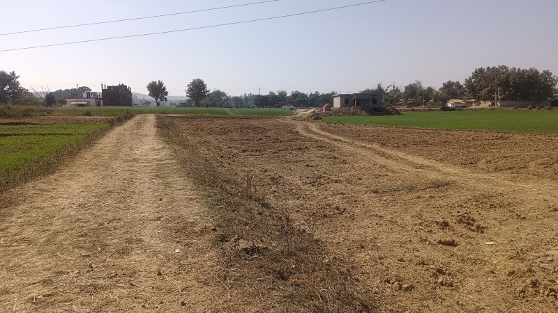  Residential Plot 1360 Sq.ft. for Sale in Robertsganj, Sonebhadra