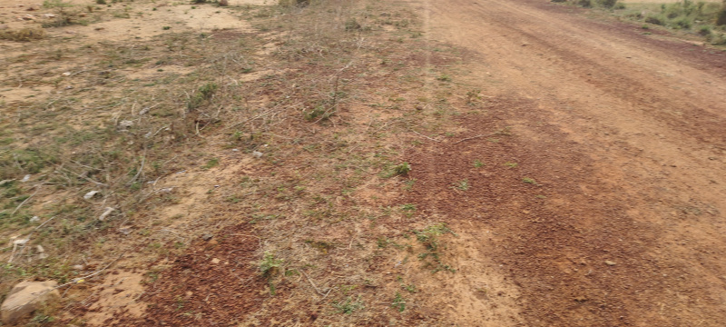  Residential Plot 1200 Sq.ft. for Sale in New Colony, Robertsganj, Sonebhadra