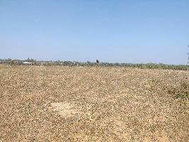  Agricultural Land for Sale in Bhiknoor, Nizamabad