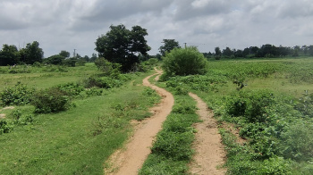  Agricultural Land for Sale in Machareddy, Nizamabad