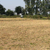  Industrial Land for Sale in Raipur Rani, Panchkula