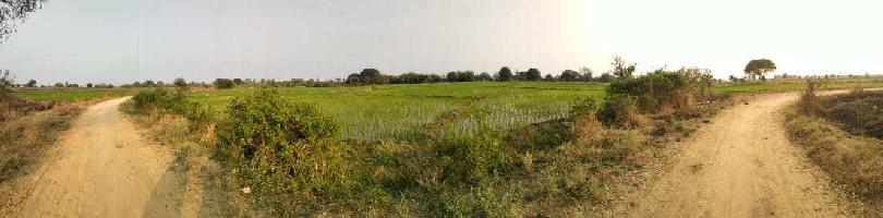  Agricultural Land for Sale in Malkapur, Hyderabad