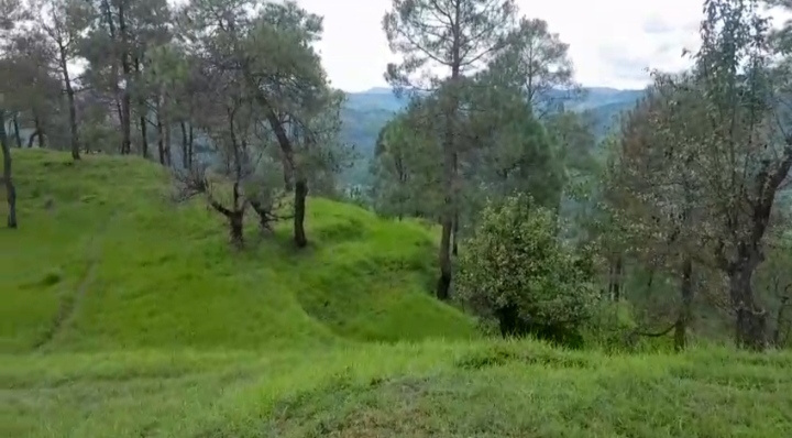 Ranikhet, Almora photo 2