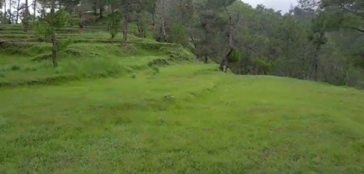 Ranikhet, Almora photo 3