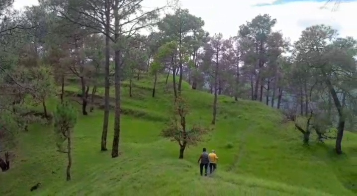 Ranikhet, Almora photo 4