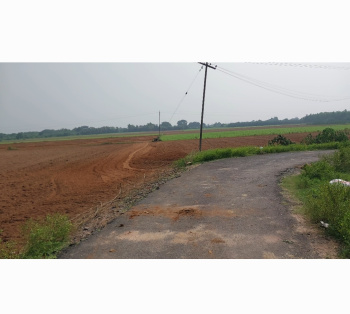 Agricultural Land for Sale in Tirukkoyilur, Villupuram